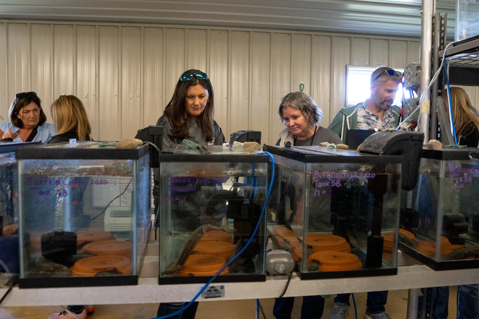 behind-the-scenes-safari-the-wilds